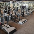 더휘트니스 이미지