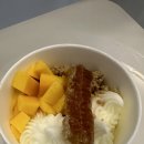 요거트 아이스크림의 정석 이미지