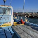 킹콩좌대 이미지