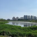 모산골방죽 이미지