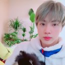 석진이네 이미지