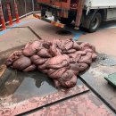 터미널 세차장 이미지