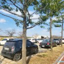 팽성대교 쉼터 이미지