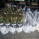 수산경로당 이미지