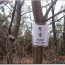 골안 이미지