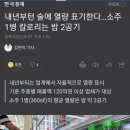 내년부턴 술에 열량 표기한다…소주 1병 칼로리는 밥 2공기 이미지