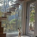 이후북스테이 이미지