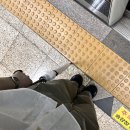 미스트 썸머 와이드 팬츠 이미지