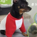 펫의류&펫소품 만들기 이미지