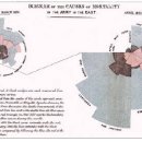 여왕과 나이팅게일 이미지