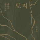 토지-3 이미지