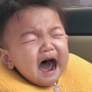 술은 꼭 먹어야하는걸까 / 술줄이기 / 초밥사랑아들 / 집들이초대 / 다이소꿀템