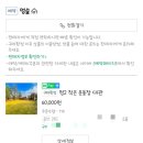 강화애견