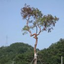 (주)비앤비코리아 이미지