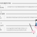 솔루니독서논술포럼