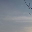 서울종합행정사LK사무소 네이버블로그