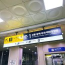 김밥나라하양점 | 대구에서 강릉 누리로 당일치기 기차여행 5시간 허리OK? (첫차 막차 후기)