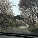 정배보건진료소 이미지