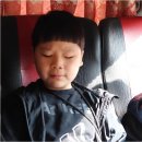 계명대K태권도장 네이버블로그