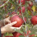 수형축산 이미지