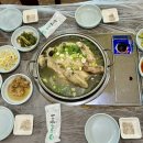 속리산토종닭 이미지