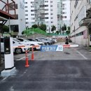 양코치 애견카페 이미지