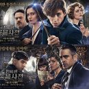 뉴트라뎁 | 신비한 동물사전(Fantastic Beasts) 인물, 줄거리 설명 및 후기, 영화 보기 전 알아두면 좋은 것들!