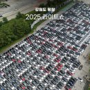 영광환경자원 | 2025 테슬라 라이트쇼 평창 휘닉스파크 다녀온 솔직 후기