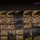 제이디피부과의원 이미지