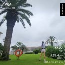 태신해안로 이미지