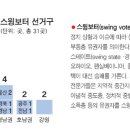 SWING VOTER 이미지