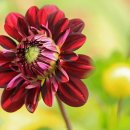 고척동생고깃간 이미지