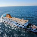 비스타 카카오 검색결과