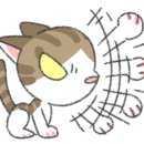 고운동물병원 이미지