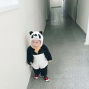 팬더세탁소 이미지