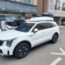 리프트위에자동차 | 페이스리프트 쏘렌토mq4 스노우화이트펄 코토 일체형 루프박스 후기