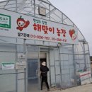 연준농장 네이버블로그