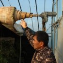 늘푸른농장 1 이미지