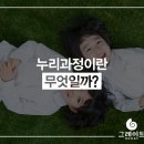 누리과학 이미지