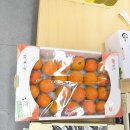 강동면-1 | 포항남구, 경주강동면 거주민들만의 코스트코, 과일/야채/채소 직판매 '하나로마트 강동농협본점'