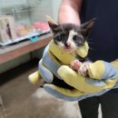 신장로90번길 이미지