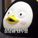 베어밀크 이미지