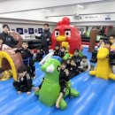 용인대 최고 태권도 이미지