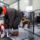 Animal Press