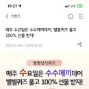 kb 스타뱅킹 별별퀴즈 이미지