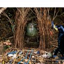 낭만수컷 이미지