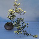 행정사감병기사무소 이미지