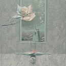 순환의바람으로부터 이미지