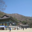 보문사 티스토리