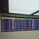 제주월정모살씨유 | 2025 가오슝 여행 후기 (1일차)